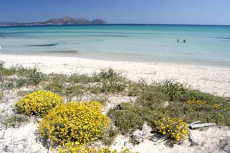 Apartment Alcudia Ocean View Luaran gambar